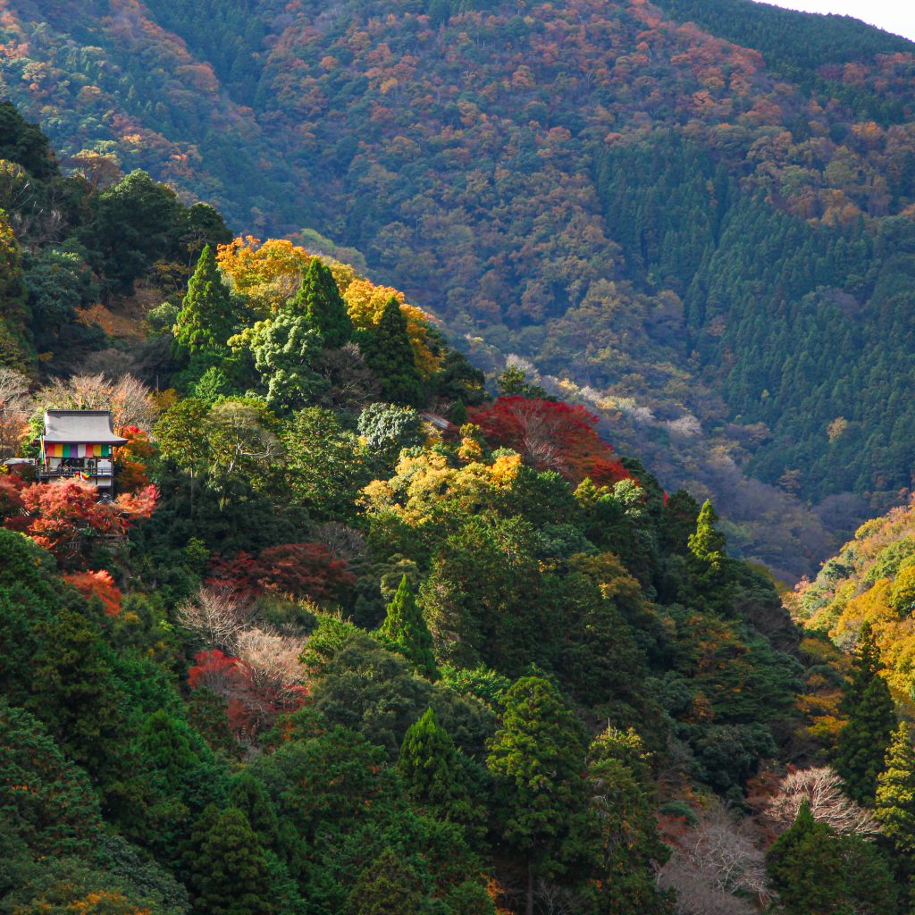 יפן בצבעי שלכת - טיול ליפן בשלכת - בשבילים חברים מטיילים