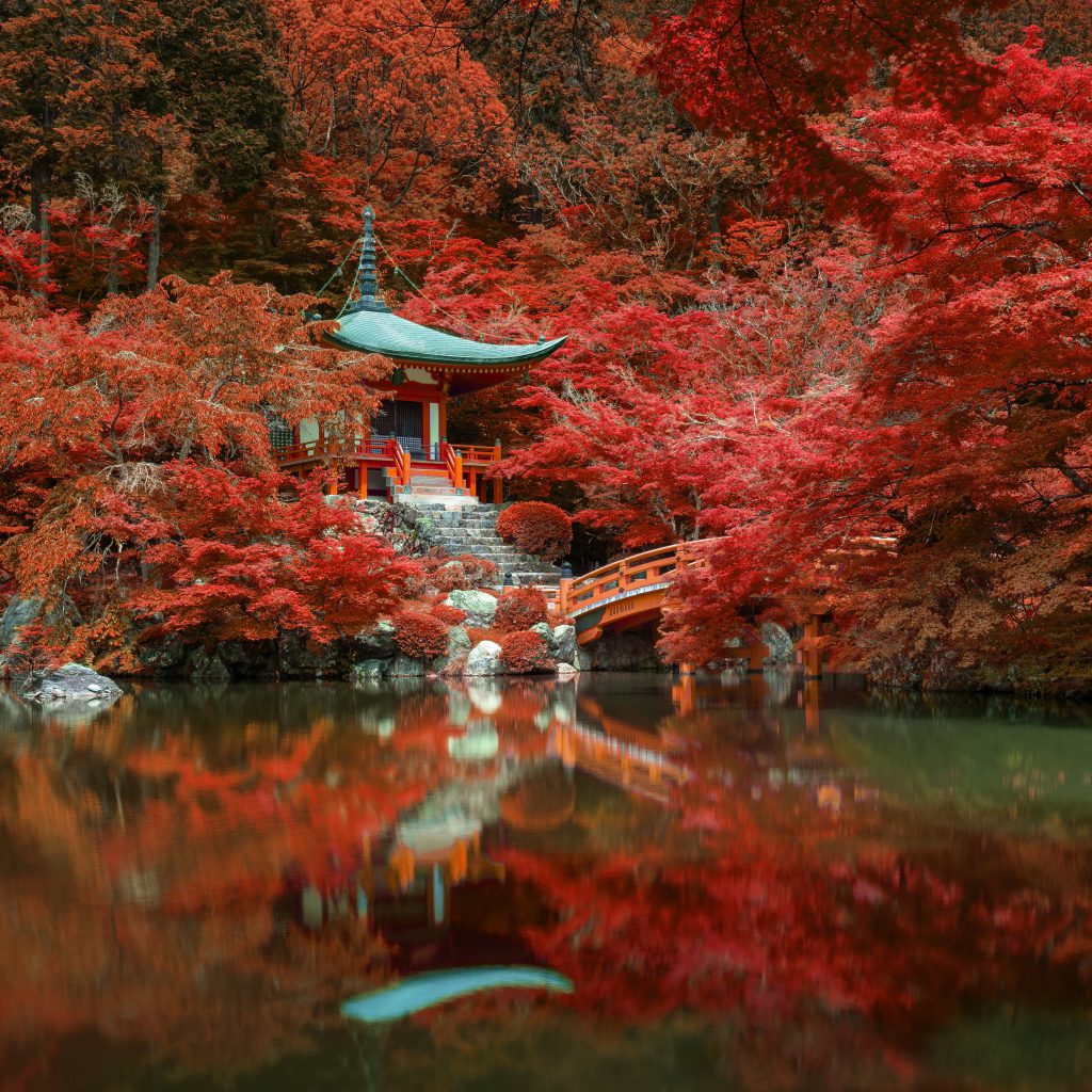 יפן בצבעי שלכת - טיול ליפן בשלכת - בשבילים חברים מטיילים