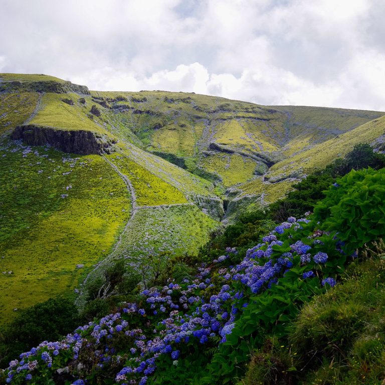 האיים האזוריים - בשבילים חברים מטיילים